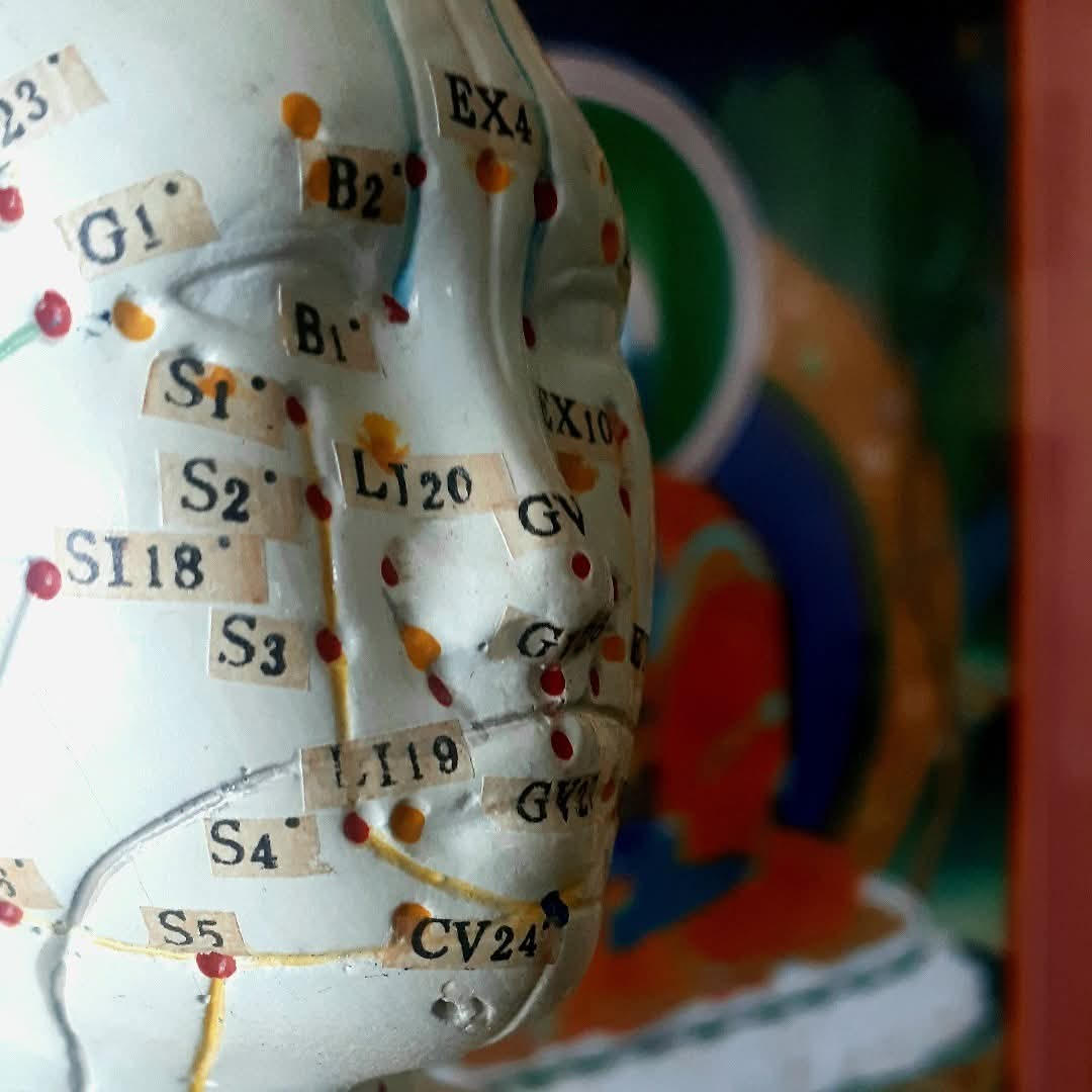 head showing the acu points or meridians