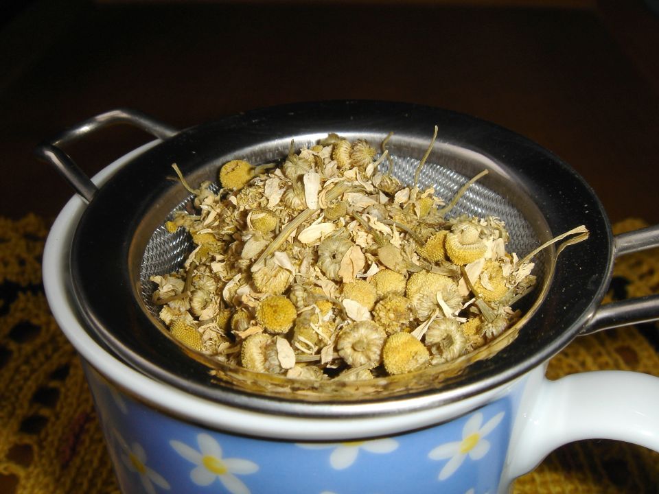 camomile tea